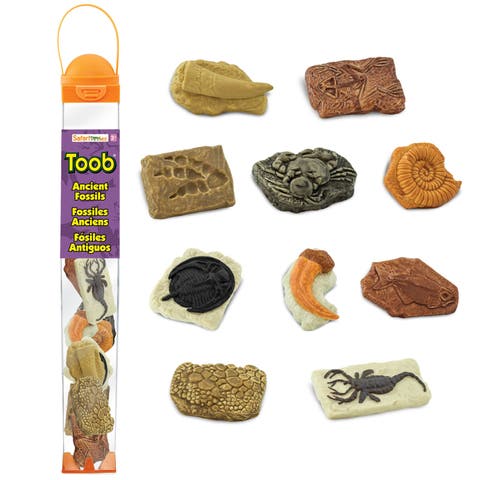 Ancient Fossils Toy