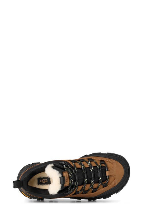 Ugg(r) Metrotrek Waterproof Hiking Boot In Multi