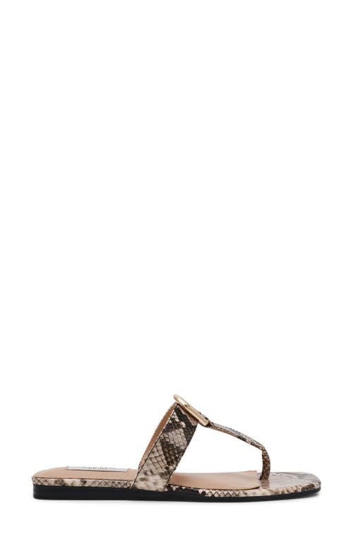 STEVEN NEW YORK STEVEN NEW YORK PAVA SANDAL 