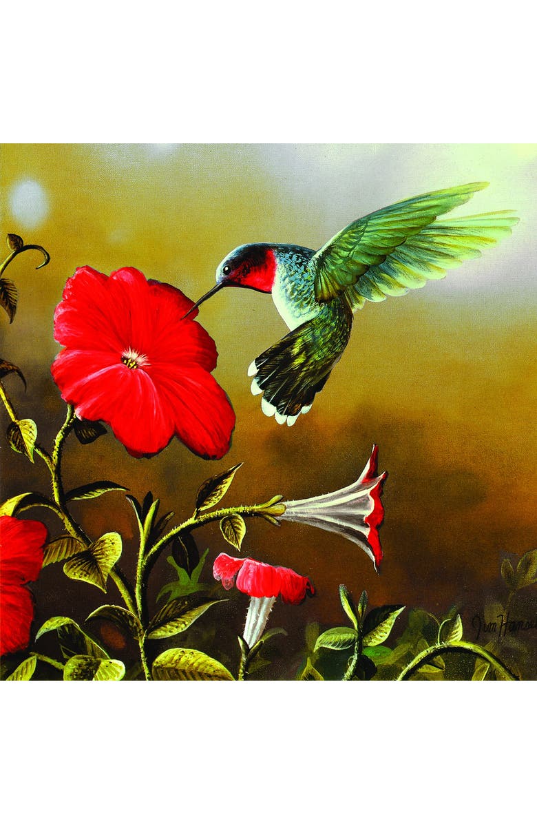 Sunsout Ruby Throat 500 piece Jigsaw Puzzle for Adults, Alternate, color, Multicolor