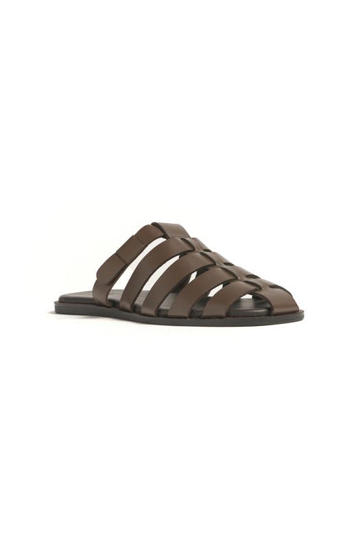  Java Brown