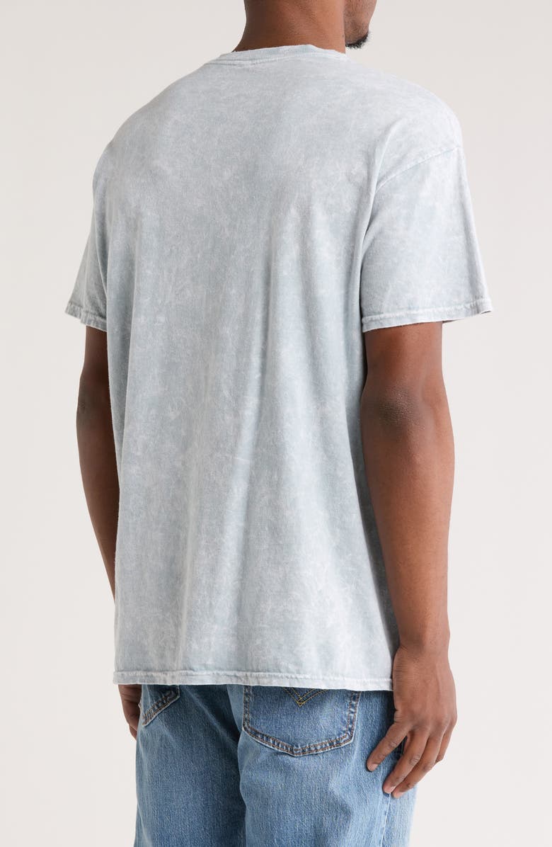 Philcos Dennis Rodman 'The Worm' Graphic T-Shirt, Alternate, color,