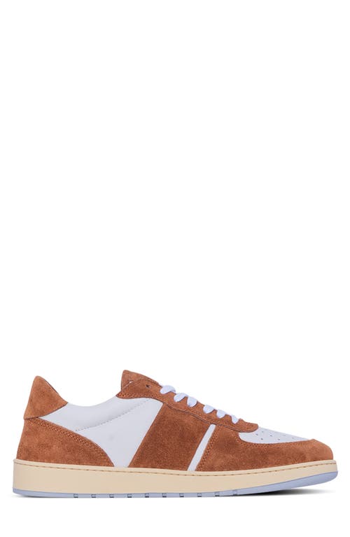 Collegium Pillar Destroyer Low Top Sneaker In Multi
