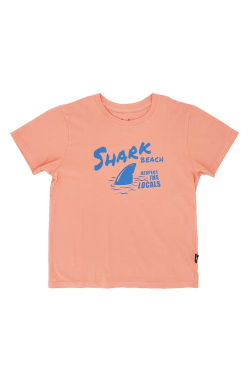 Feather 4 Arrow Kids' Shark Beach Cotton Graphic T-shirt In Papaya