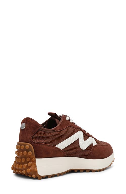 Steve Madden Campo Sneaker In Brown Multi