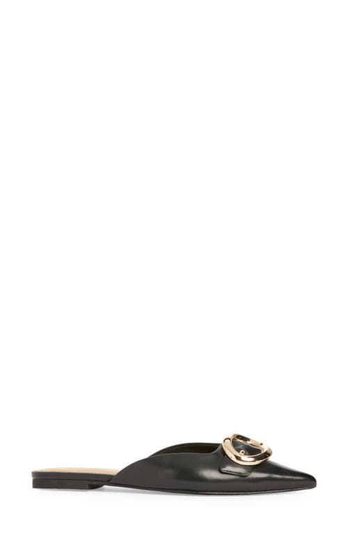 Steve Madden Ira Pointed Toe Mule