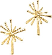 Erin McDermott Jewelry Starburst Gold Studs
