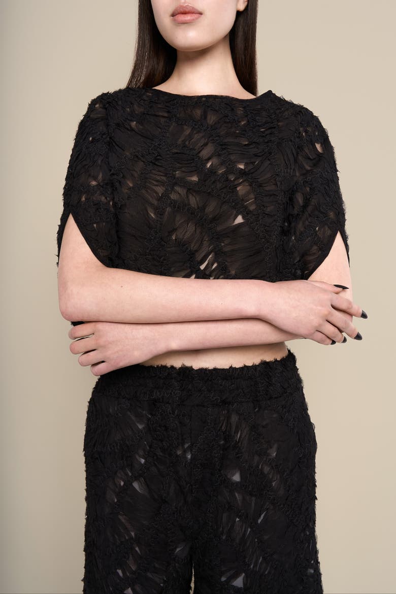Fleur Sheer Abstract Lace Scoop-Neck Shawl, Alternate, color, Black