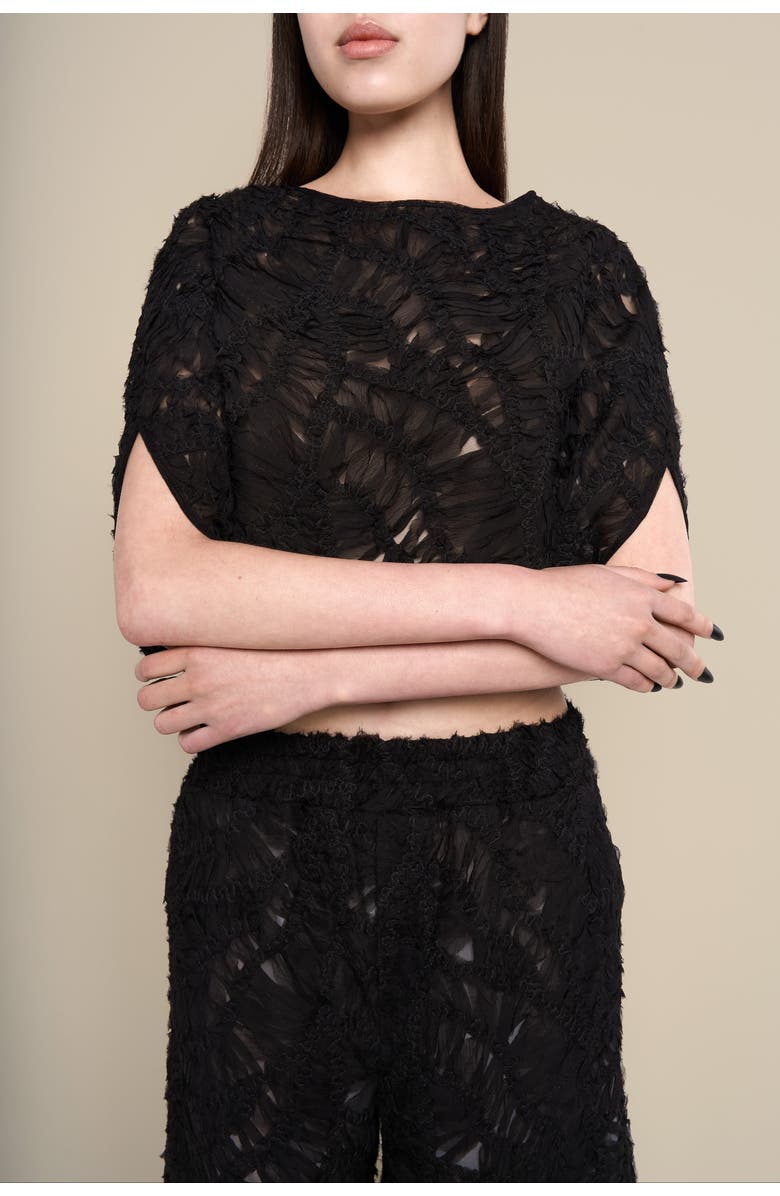 Contessa Mills Fleur Sheer Abstract Lace Scoop-Neck Shawl, Alternate, color, Black