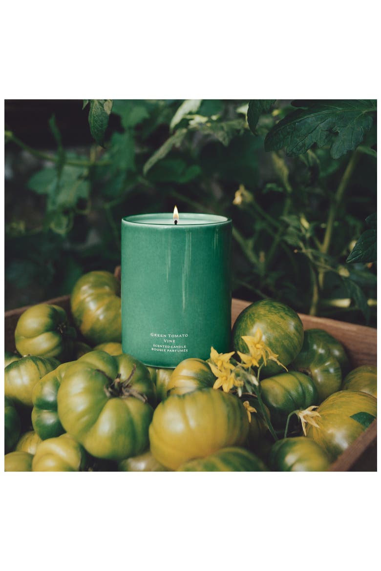 Green Tomato Vine Townhouse Candle (Nordstrom Exclusive) | Nordstrom