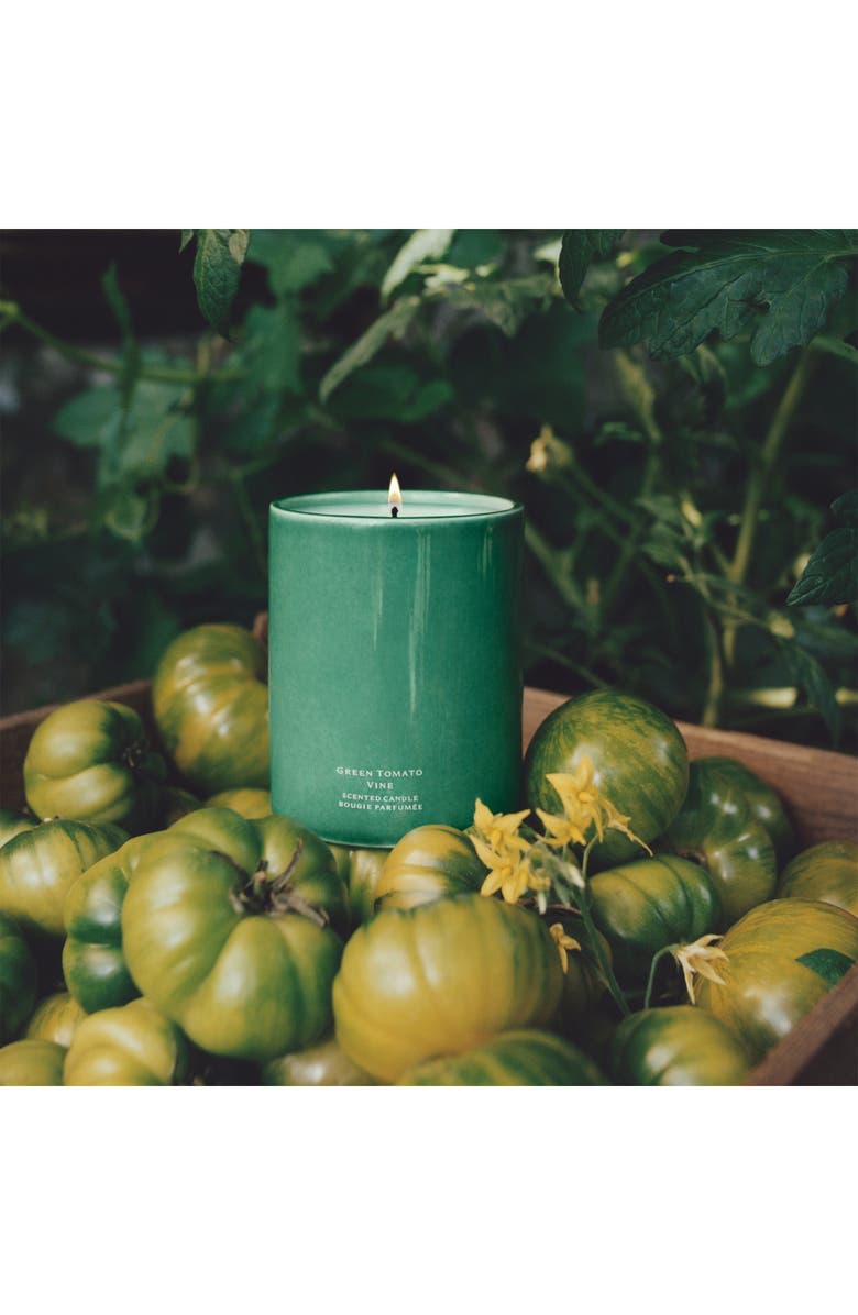 Jo Malone London<sup>™</sup> Green Tomato Vine Townhouse Candle, Alternate, color, Green