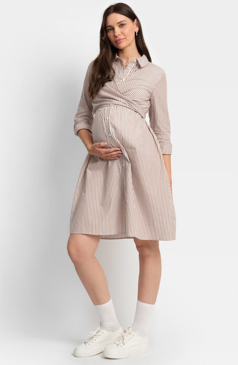 Seraphine Stripe Long Sleeve Maternity/Nursing Shirtdress, Alternate, color,