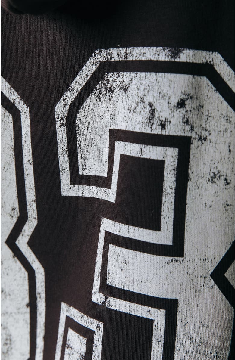 Colourful Rebel Rebel 33 Clean Hoodie, Alternate, color, Brown