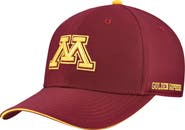 Nike Men's Nike Maroon Minnesota Golden Gophers Rise Performance Flex Hat