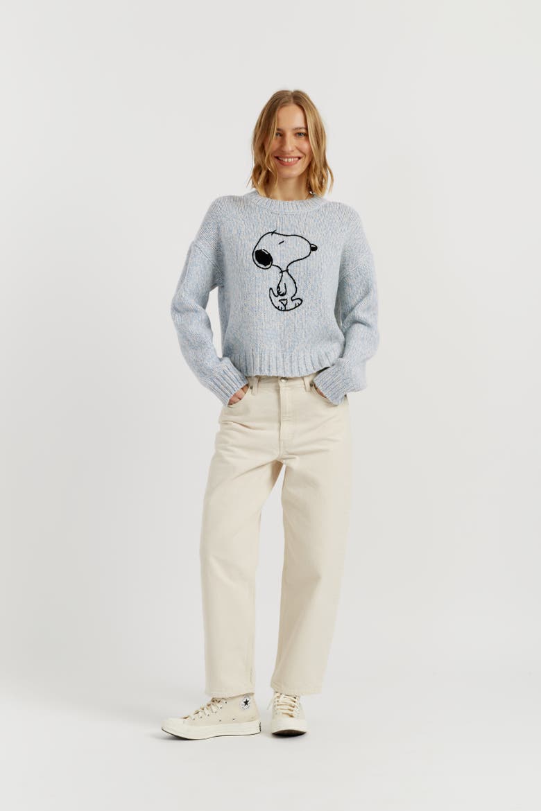 Merino Snoopy Marl Sweater, Main, color, Multi Blue