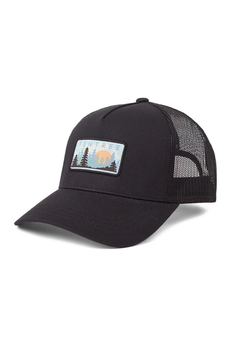 Forest Sun Altitude Hat, Main, color, Meteorite Black/Blue Shadow