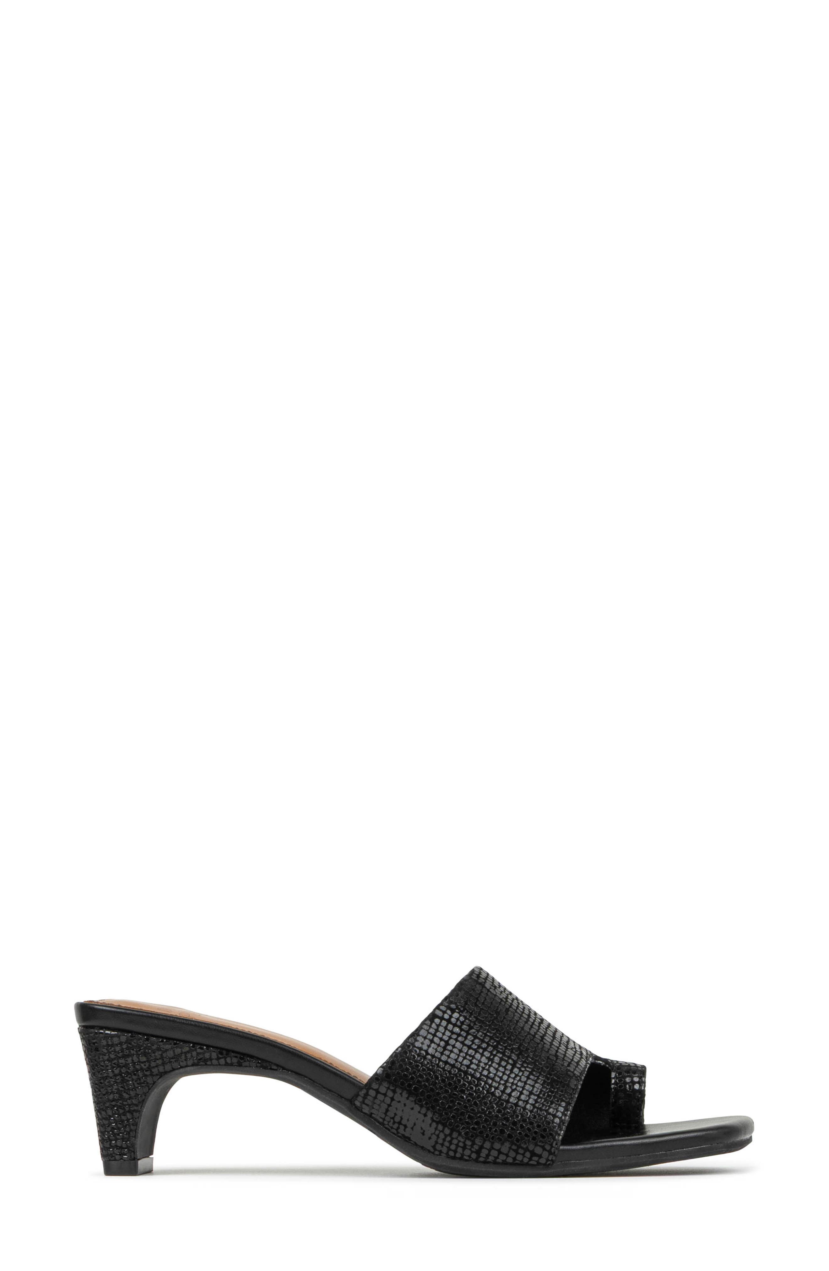 Donald Pliner Farrah Toe Loop Sandal, Alternate, color, Black