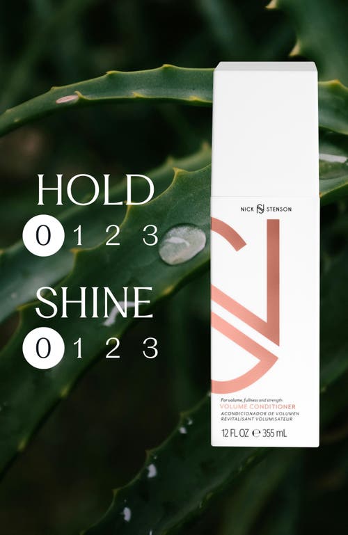 Nick Stenson Beauty Volume Conditioner