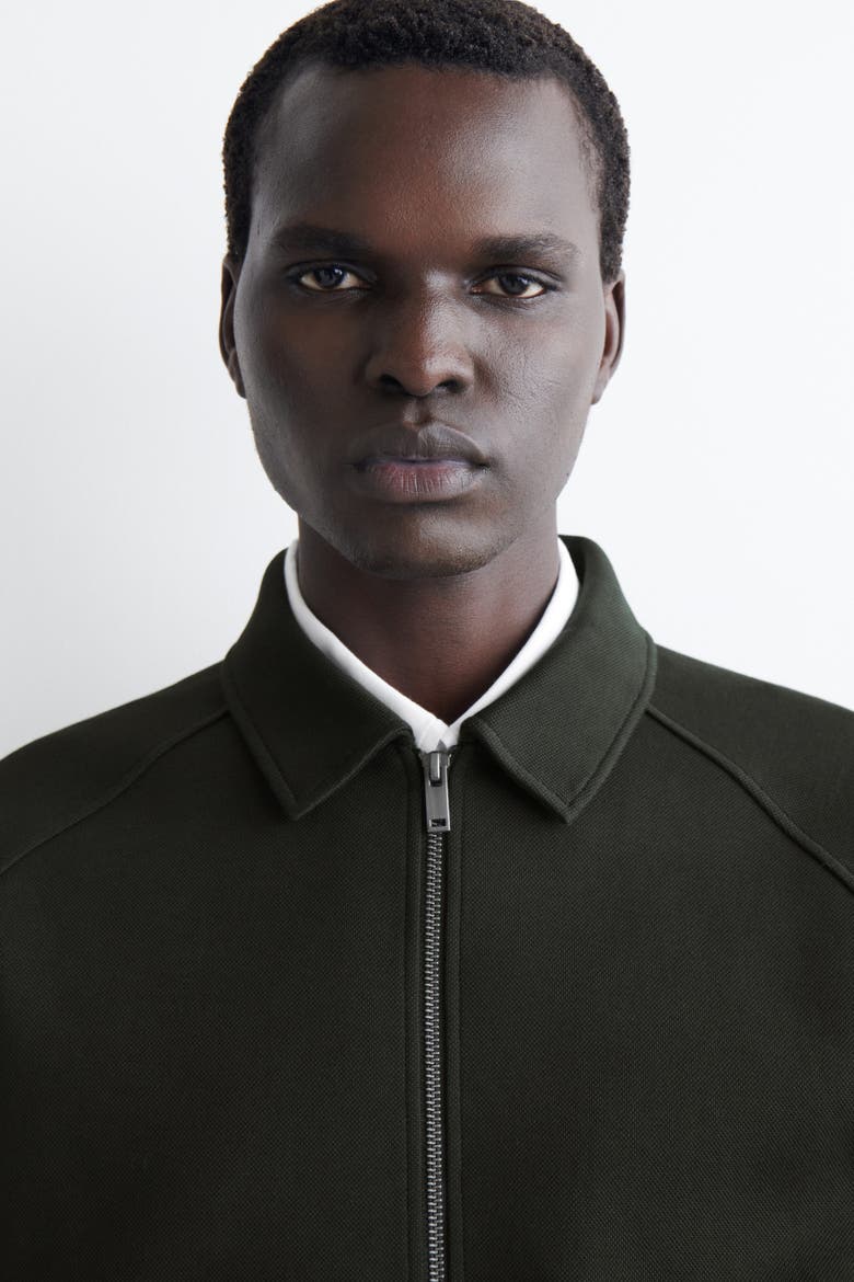 Cotton-Jersey Bomber Jacket, Alternate, color, DARK GREEN