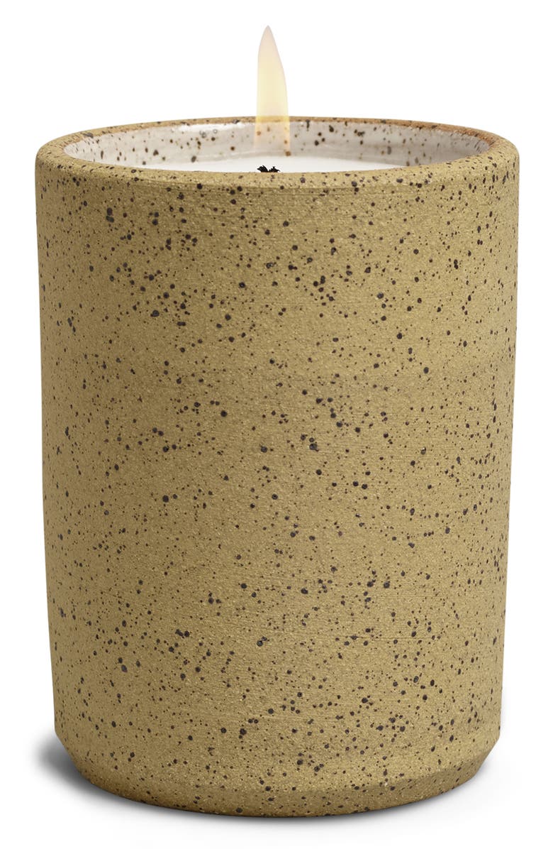 NORDEN Joshua Tree Ceramic Candle, Main, color,