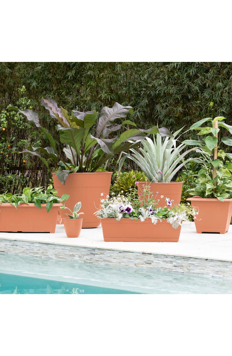 Bloem 24 Inch Dayton Window Box Planter, Coral, Alternate, color, Brown