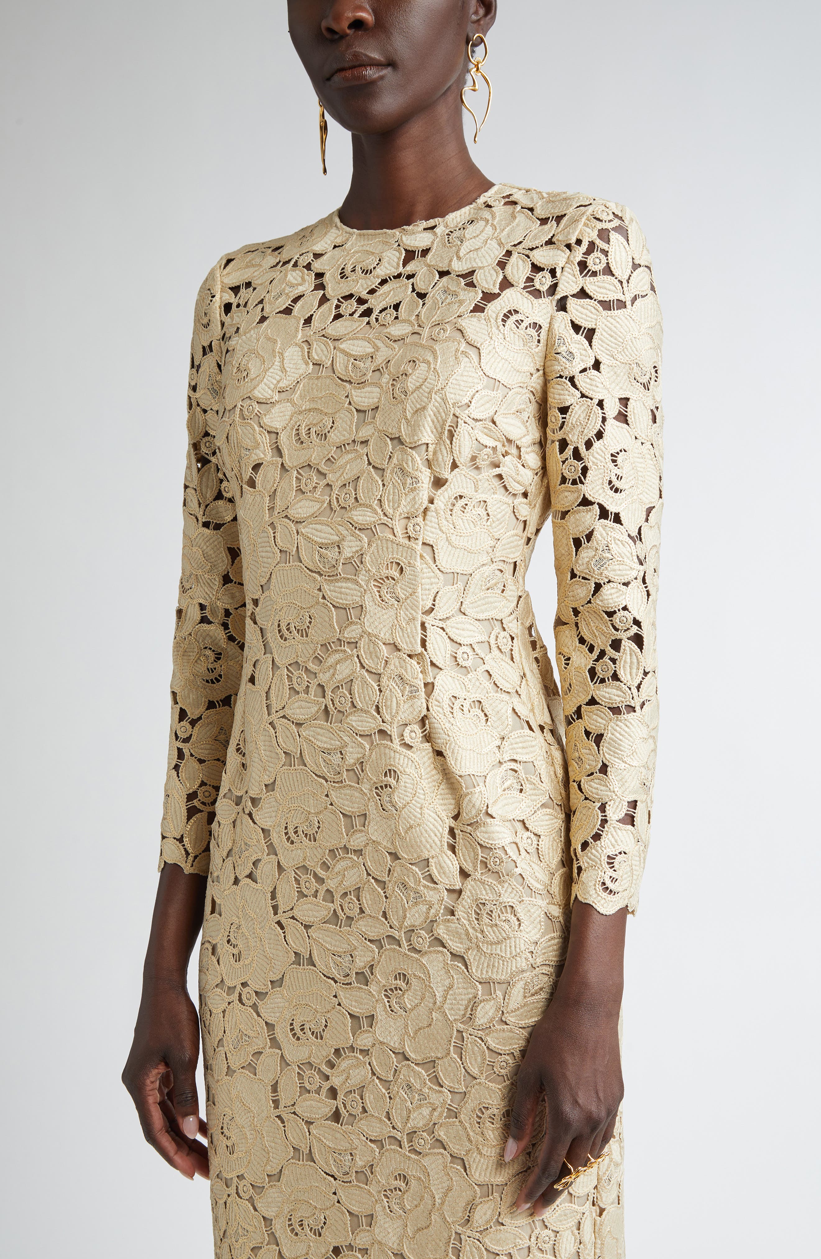 Oscar de la Renta Long Sleeve Foiled Rose Guipure Lace Gown (Women ...