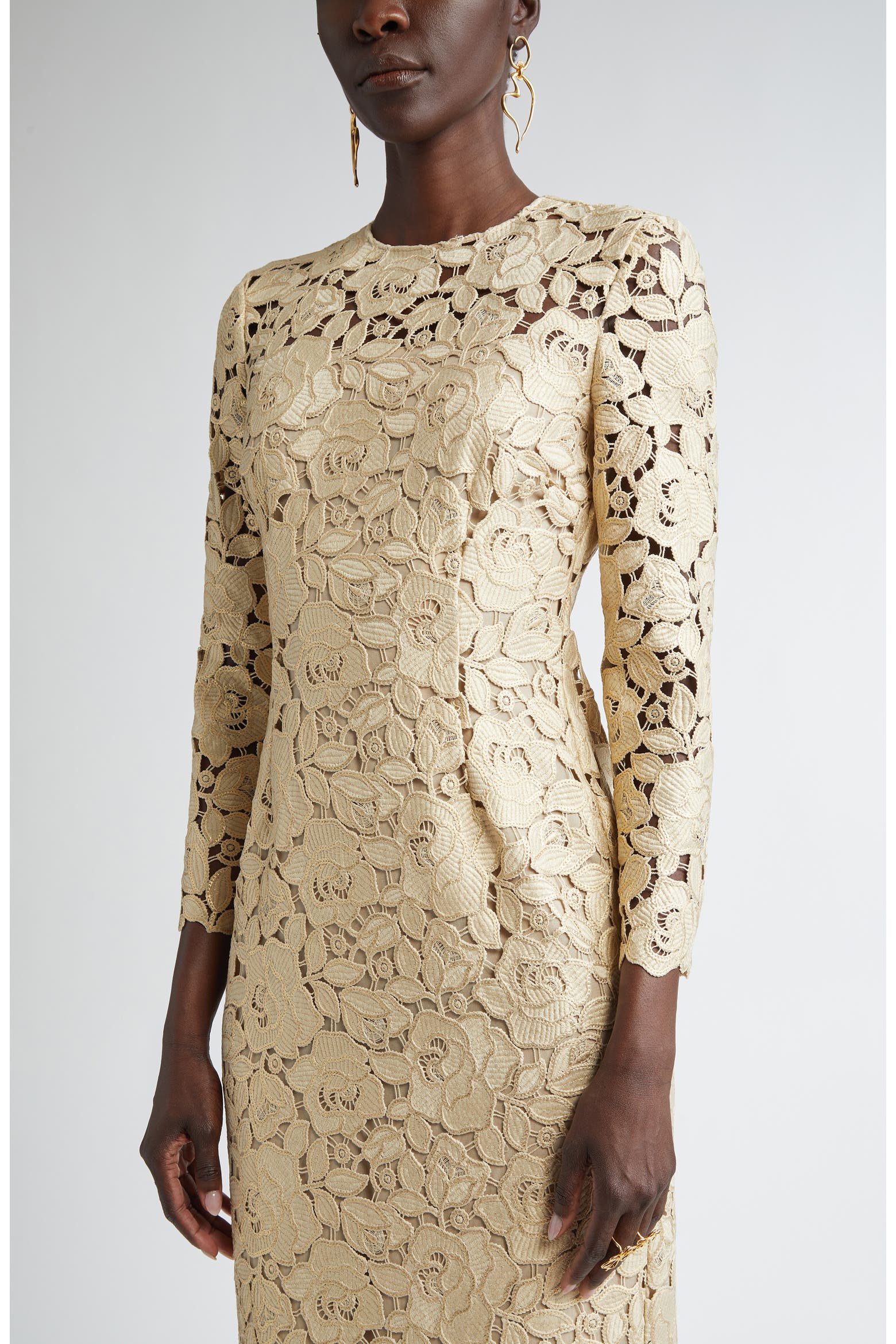 50 Long Roses Oscar de la Renta Long Sleeve Foiled Rose Guipure Lace Gown (Women ...