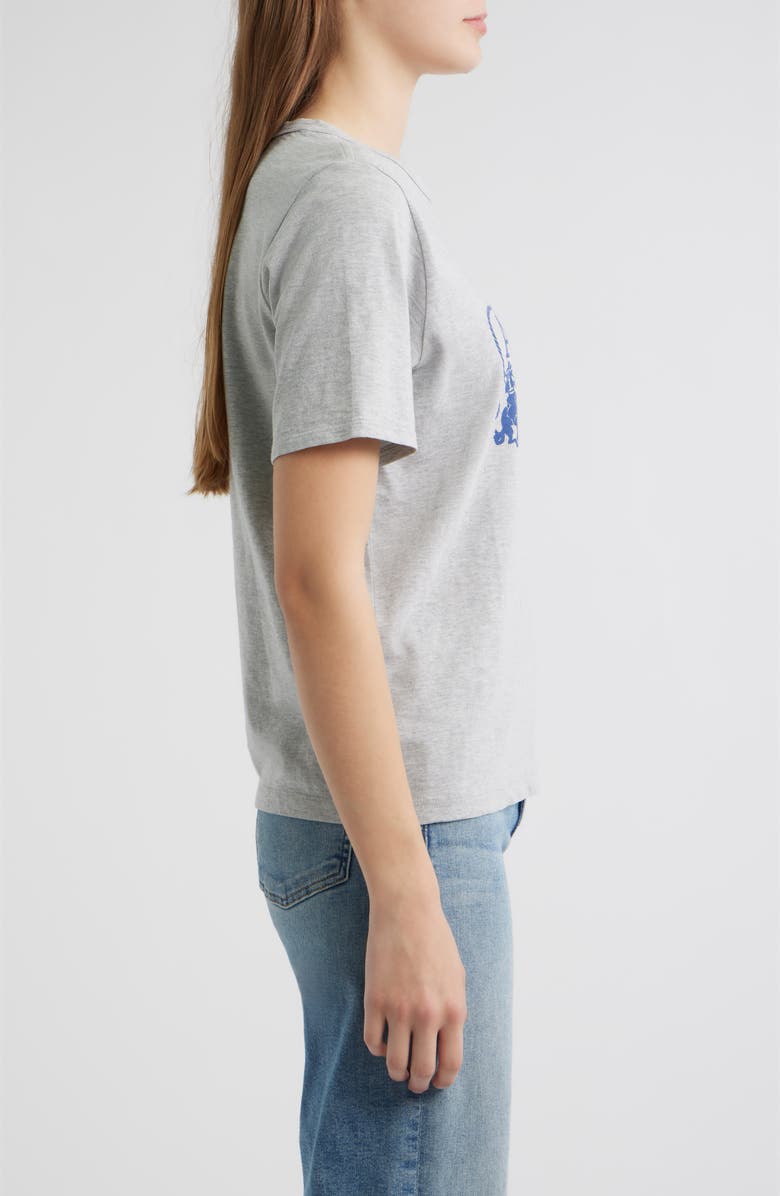 Faherty Austin Sunwashed Cotton Graphic T-Shirt, Alternate, color, Heather Grey