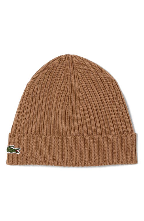 Lacoste Wool Cuff Beanie In Brown