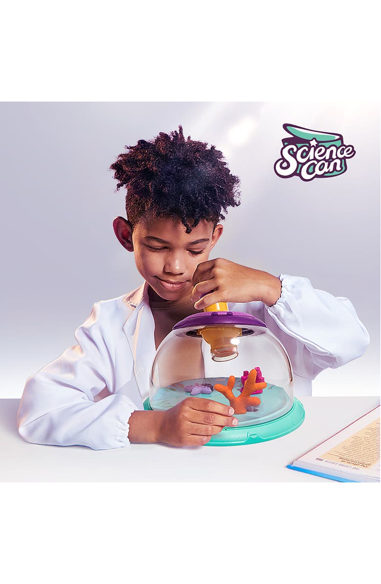 Science Can Insect & Fish Viewer Life Sciences Experiment Toy, Alternate, color, Multicolored