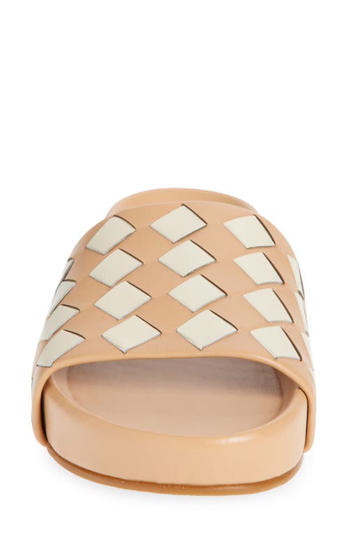 Beek Pelican Slide Sandal In Eggshell/beach