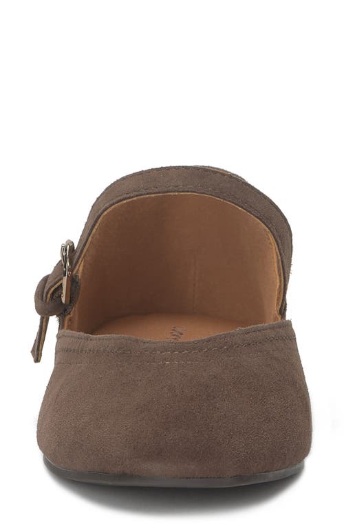 Lucky Brand Albajane Flat In Brown