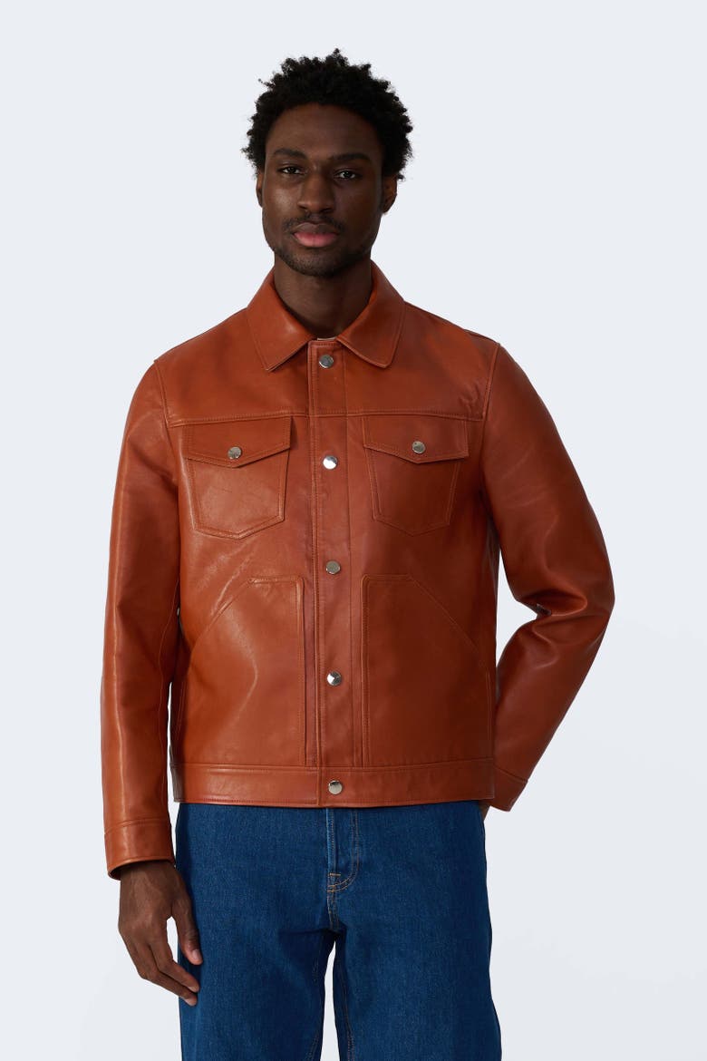Jude Leather Jacket, Alternate, color, Whiskey