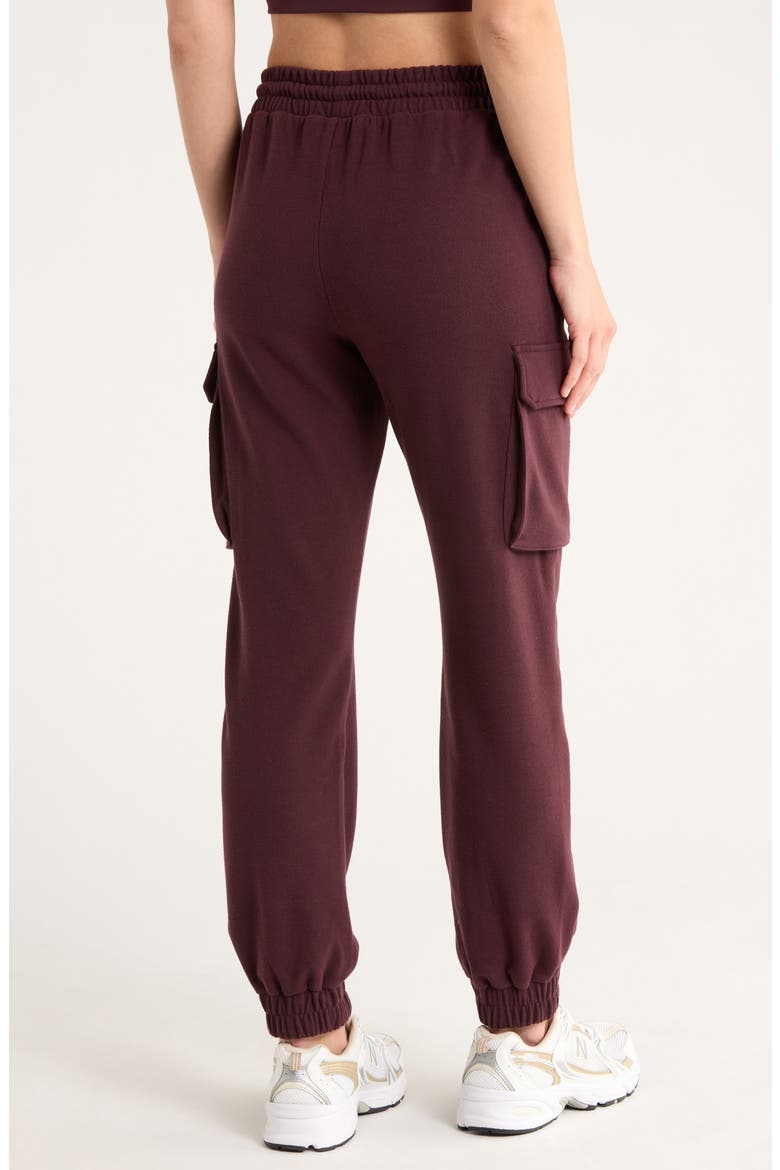 Cozy Utility Joggers, Alternate, color, BURGUNDY FUDGE
