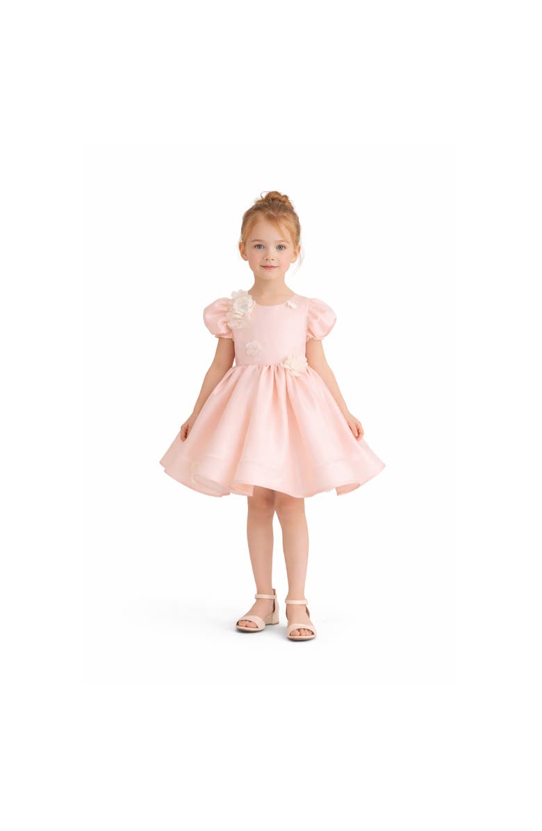 Tulleen Anabelle Floral Dress, Alternate, color, Pink