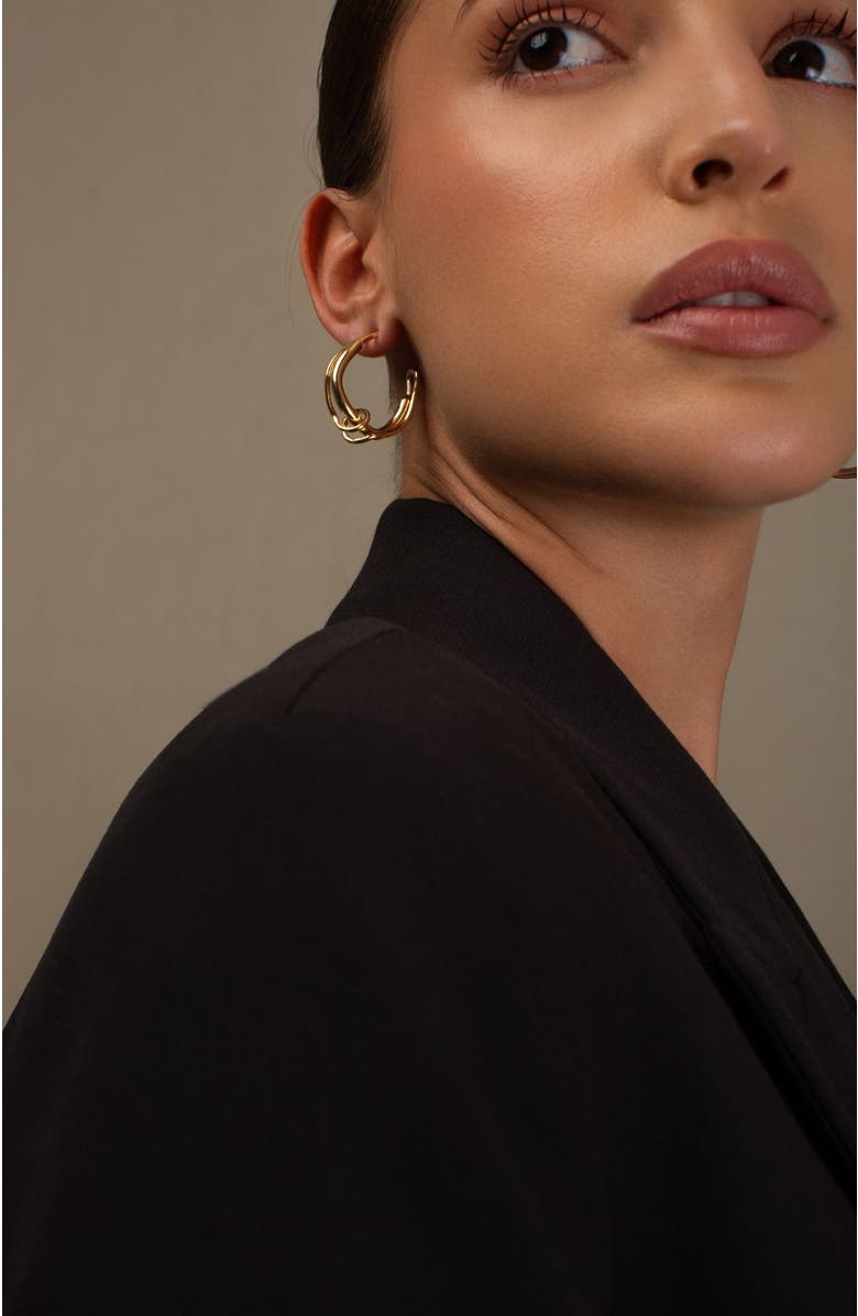 PIERETTI Claudette Hoops, Alternate, color, 