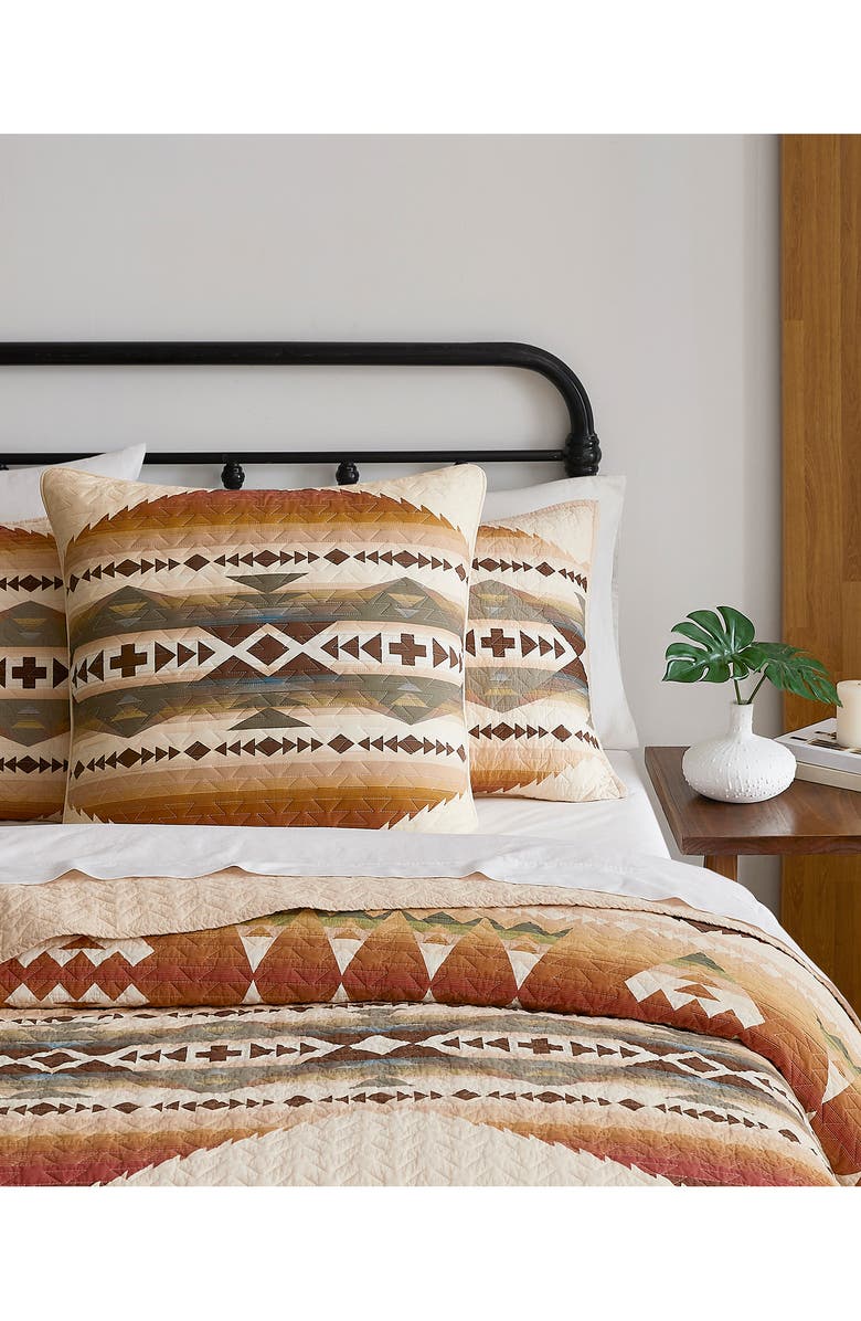 Pendleton Solstice Canyon Euro Accent Pillow, Alternate, color, Sand Shell