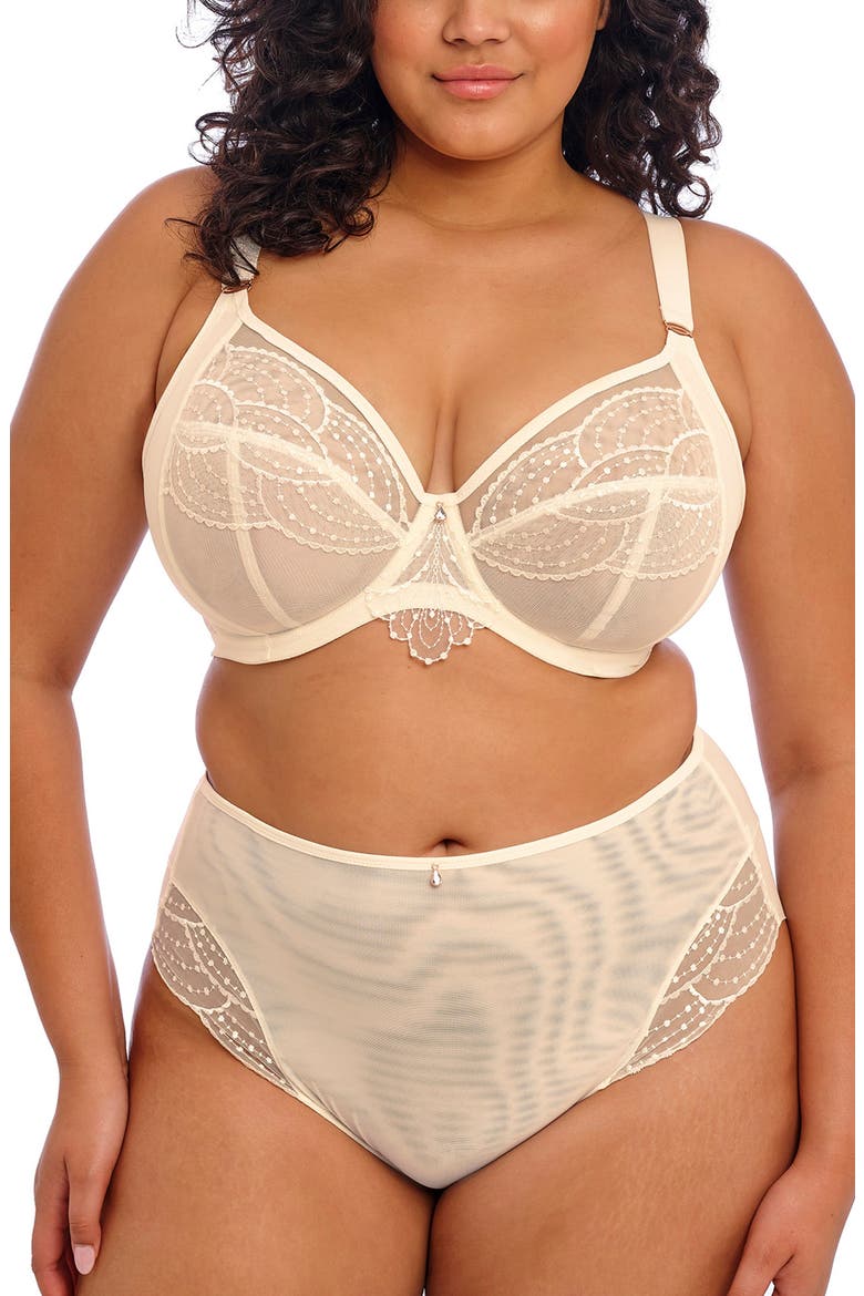 Priya Full Figure High Waist Briefs, Alternate, color, VANILLA