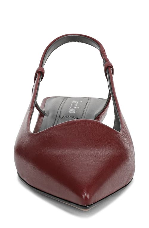 Franco Sarto Palmira Slingback Pointed Toe Pump In Burgundy