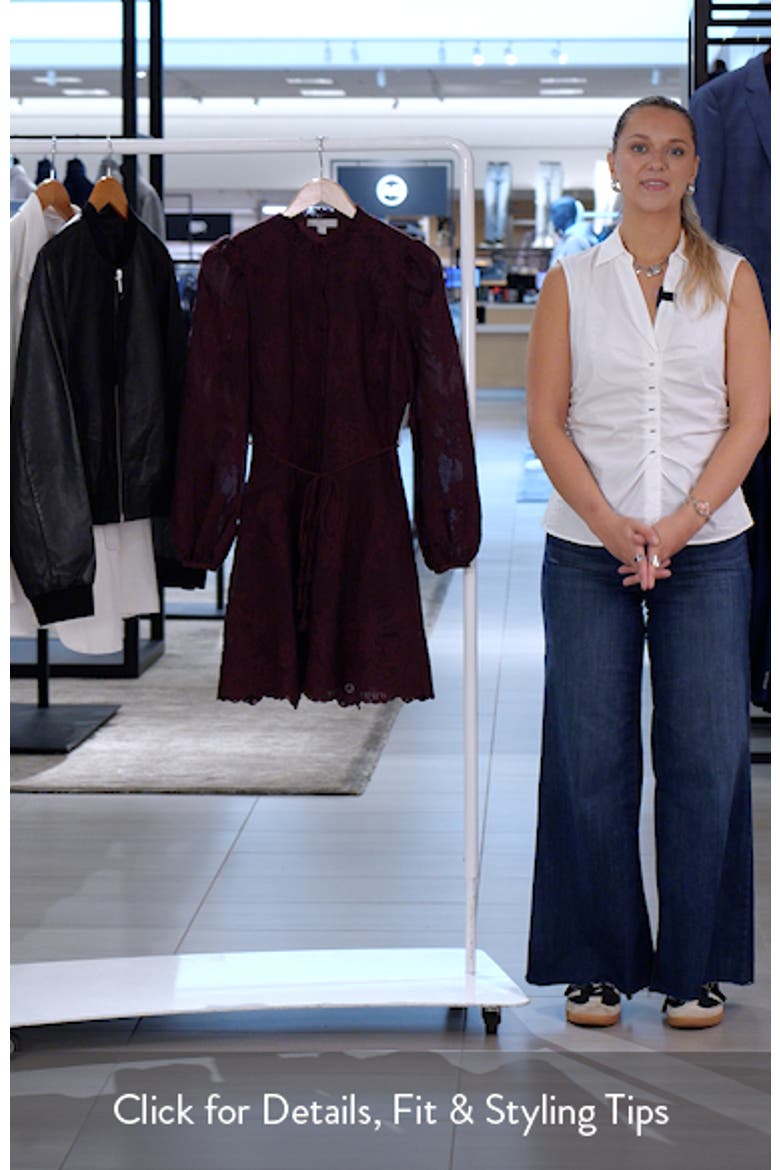 Ruffle Collar Embroidered Long Sleeve Dress video