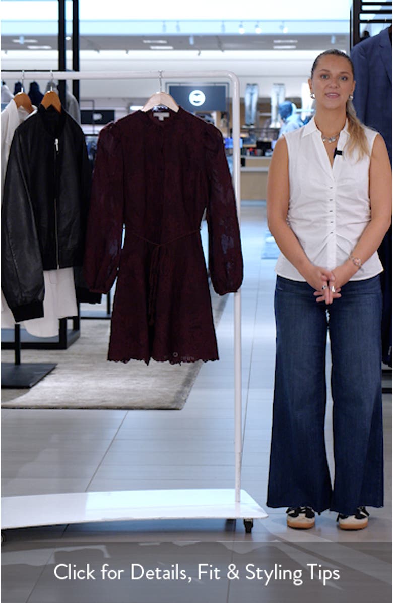 Ruffle Collar Embroidered Long Sleeve Dress