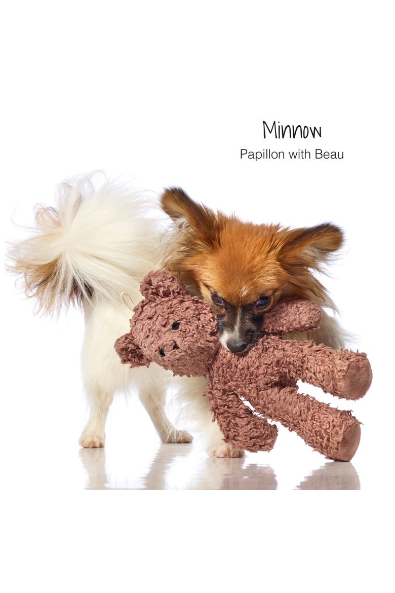 Beau the Teddy Bear Dog Toy, Alternate, color, BEAU