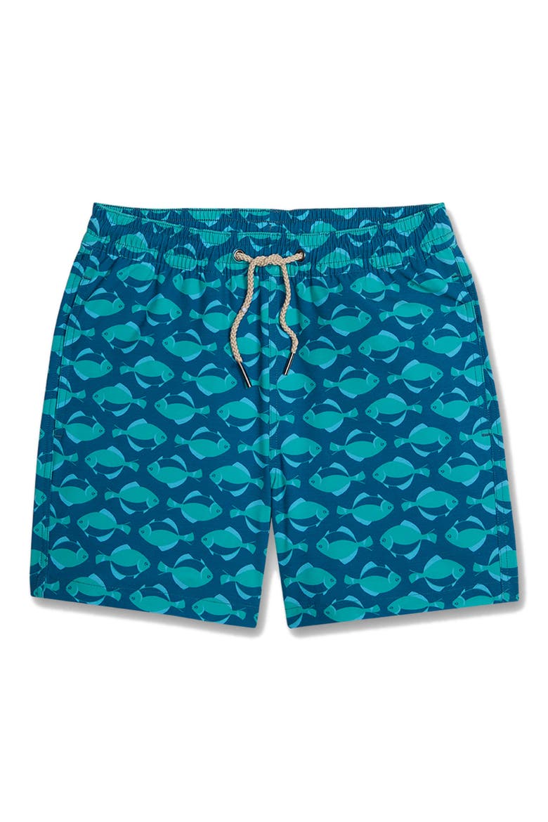 Kids' Bayberry Water Repellent Swim Trunks, Main, color, TEAL FLOUNDERS