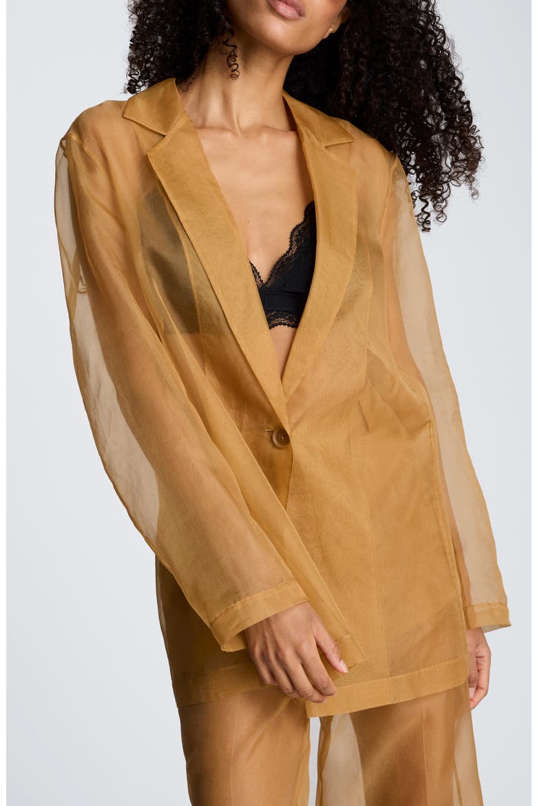 One-Button Sheer Jacket, Main, color, MESQUITE