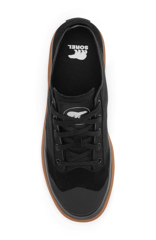 Sorel Scout N About™ Low Sneaker In Black/gum