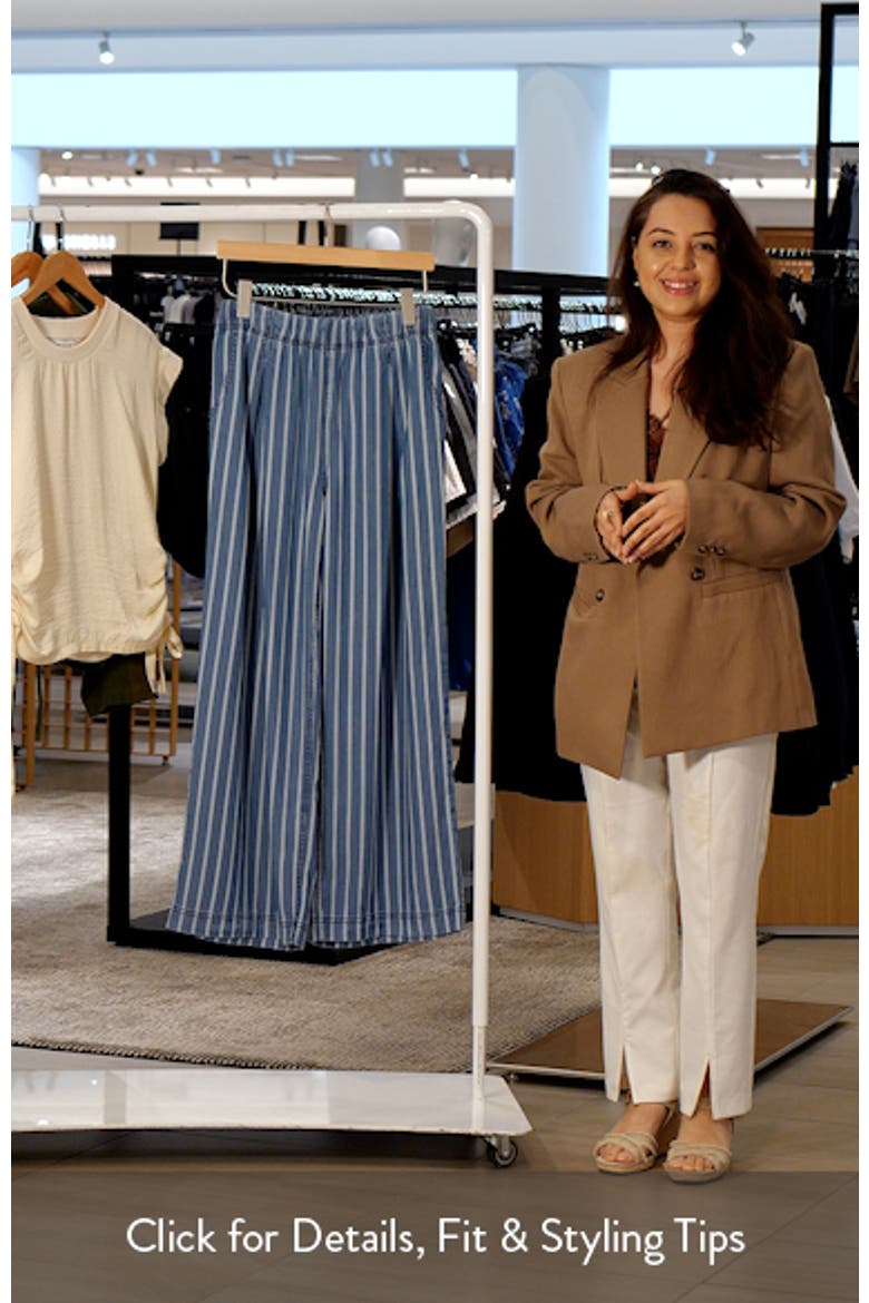 Pleated Stripe Wide Leg Denim Pants video