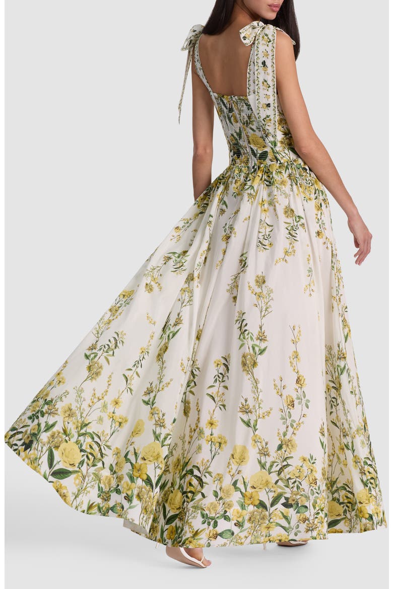 cotton fit and flare maxi dress Haven Cotton & Silk Fit & Flare Maxi Dress (Women)