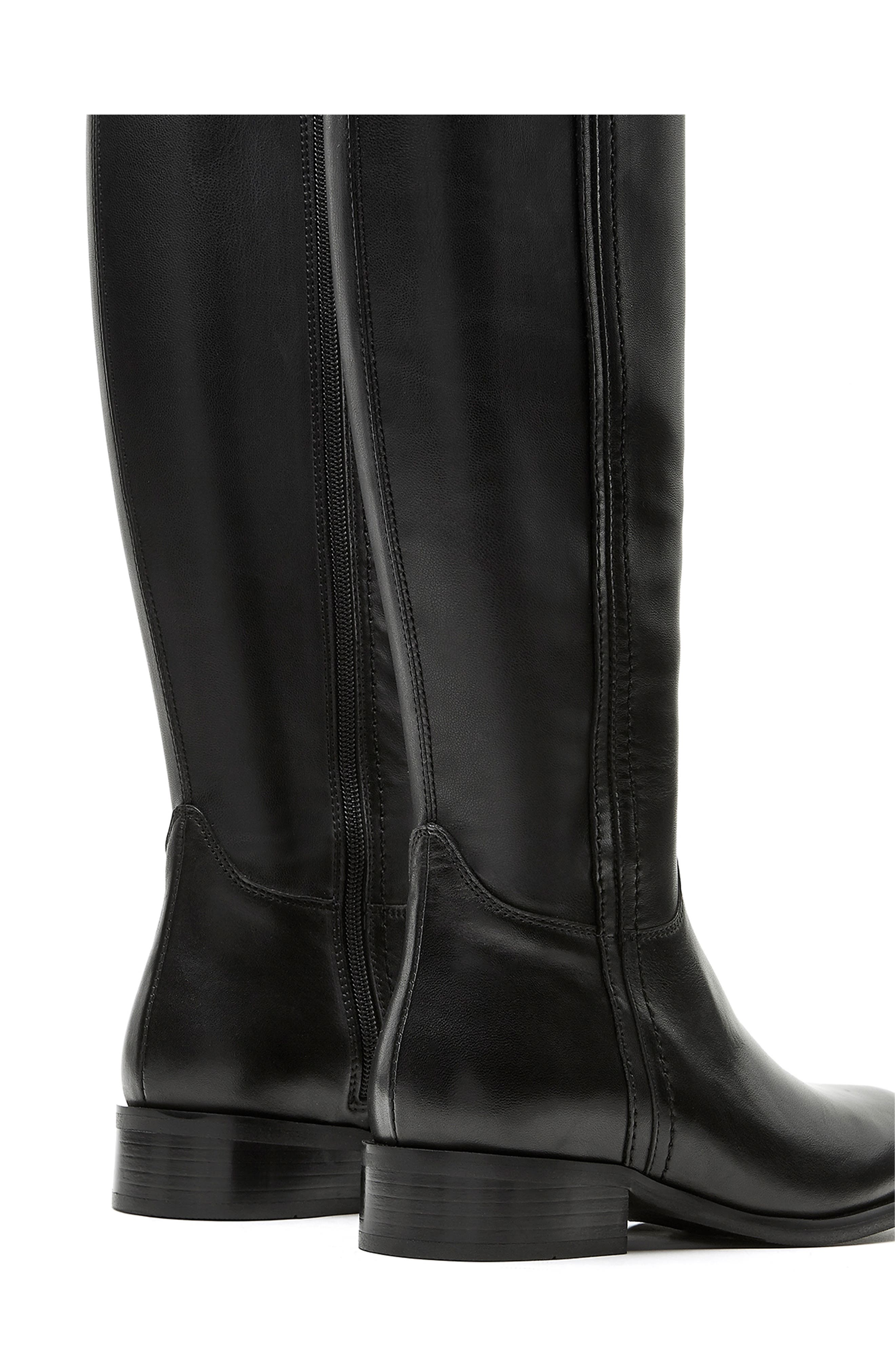 La Canadienne Amir Waterproof Tall Boot, Alternate, color, 