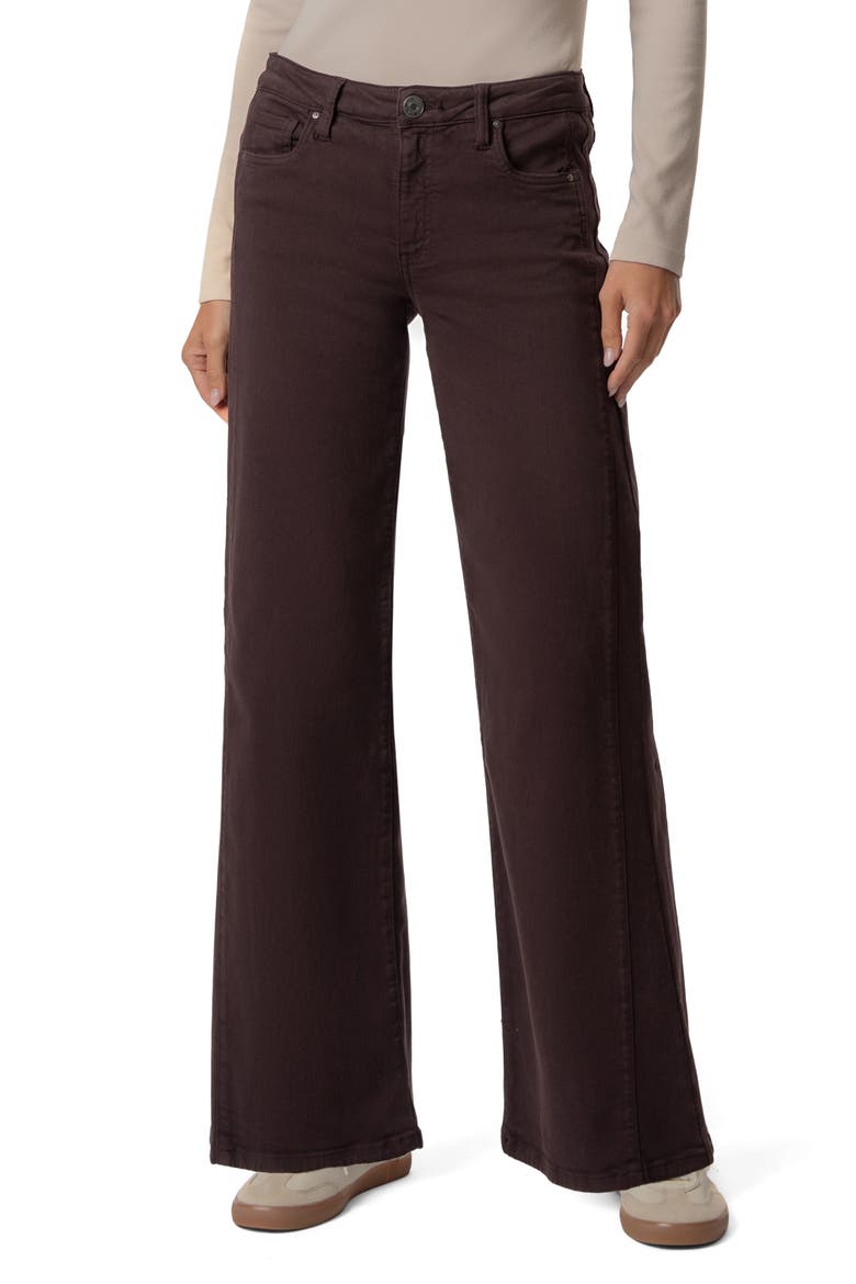 Maya High Waist Wide Leg Jeans, Main, color, RAISIN
