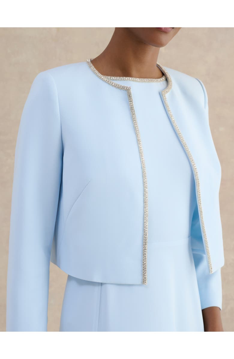 HOBBS LONDON Beatrix Embellished Jacket, Main, color, Pale Blue